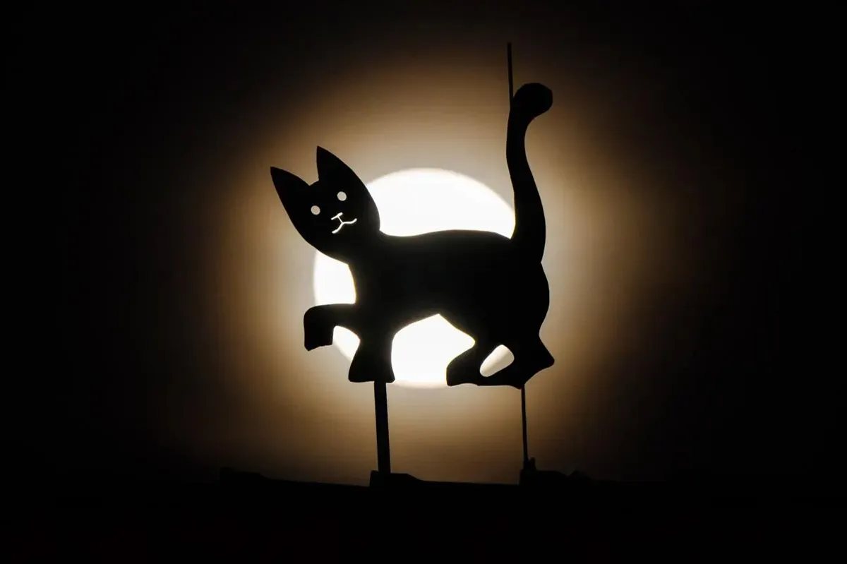 Moon and steel cat on the roof of a house in Hannover, <a href=