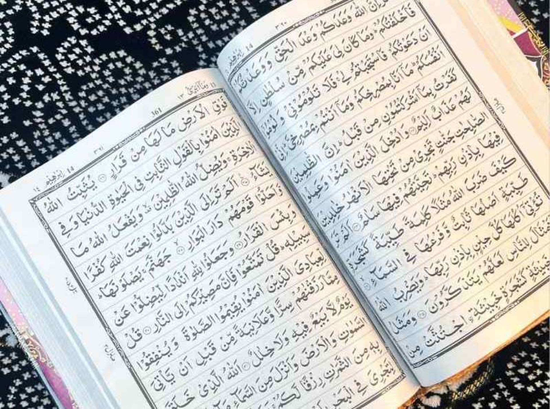 Verses of the Quran 