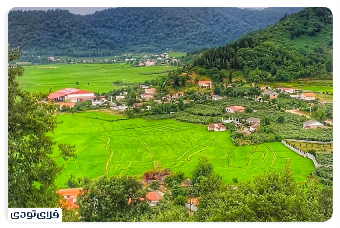 Lisar forest, Gilan