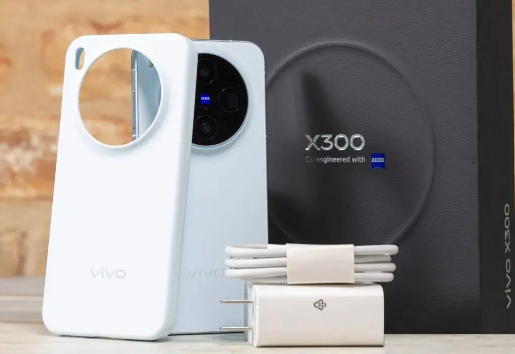 Vivo X300