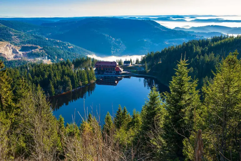 Black Forest, Baden-Württemberg, Germany