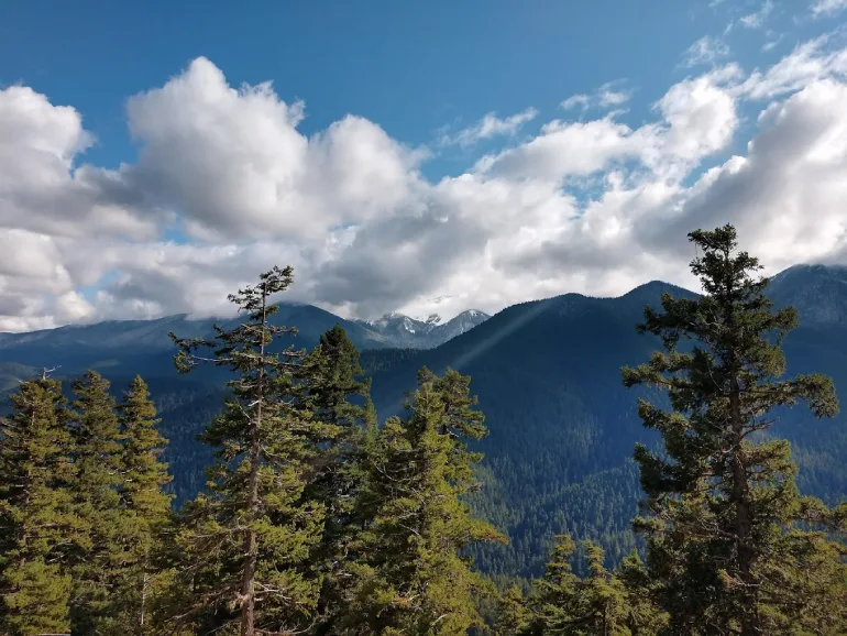 Olympic National Park, Washington State, USA