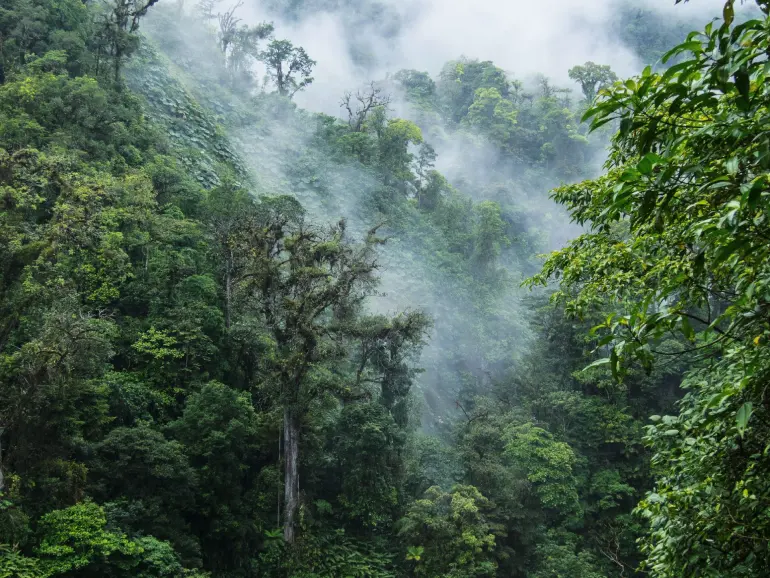 Moeverde Cloud Forest, Costa Rica