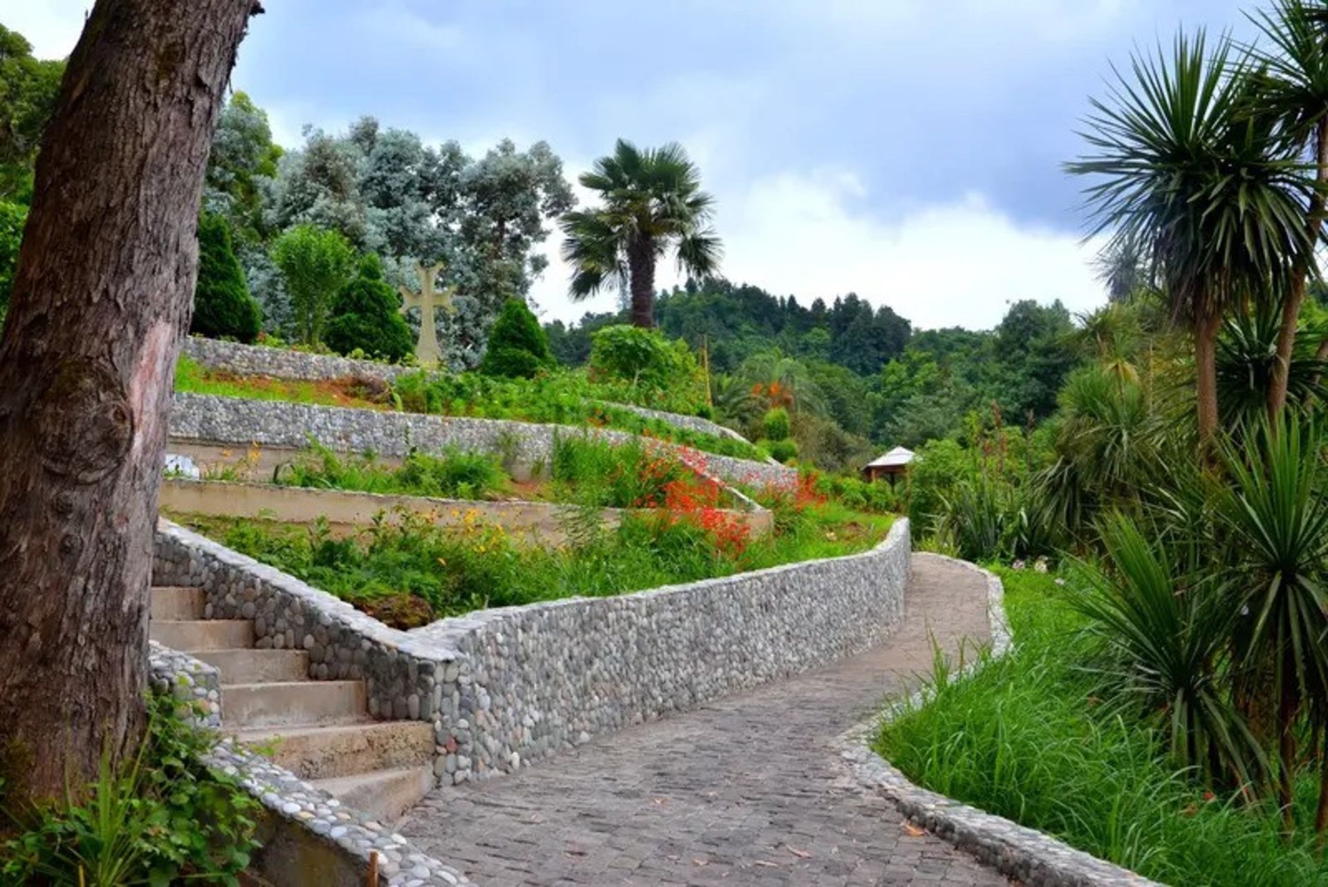 Batumi Botanical Garden in spring