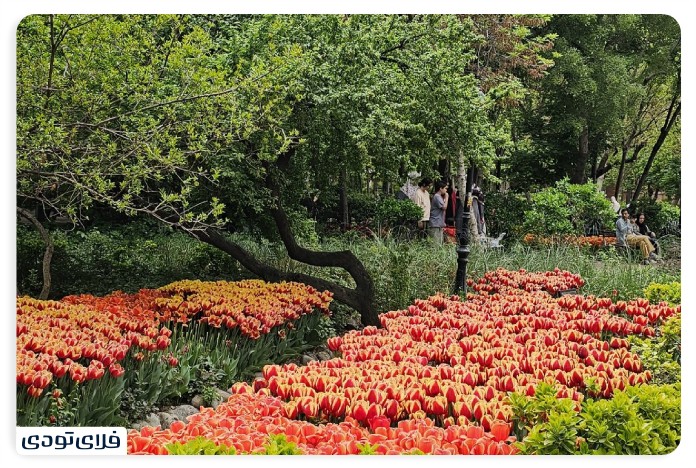 Deh Vank Iranian Garden