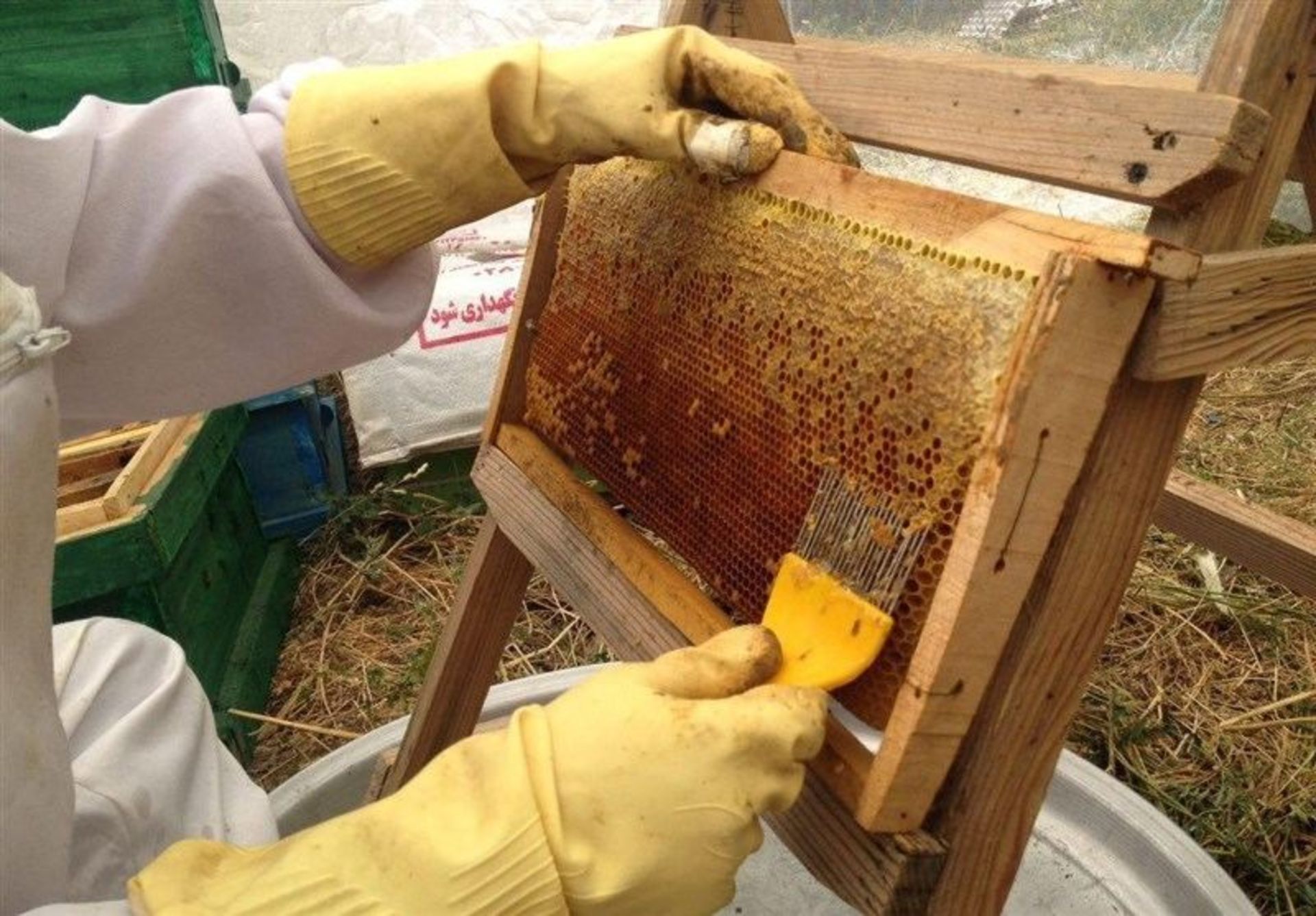 Honey with Marivan wax