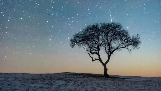 Asadi meteor shower