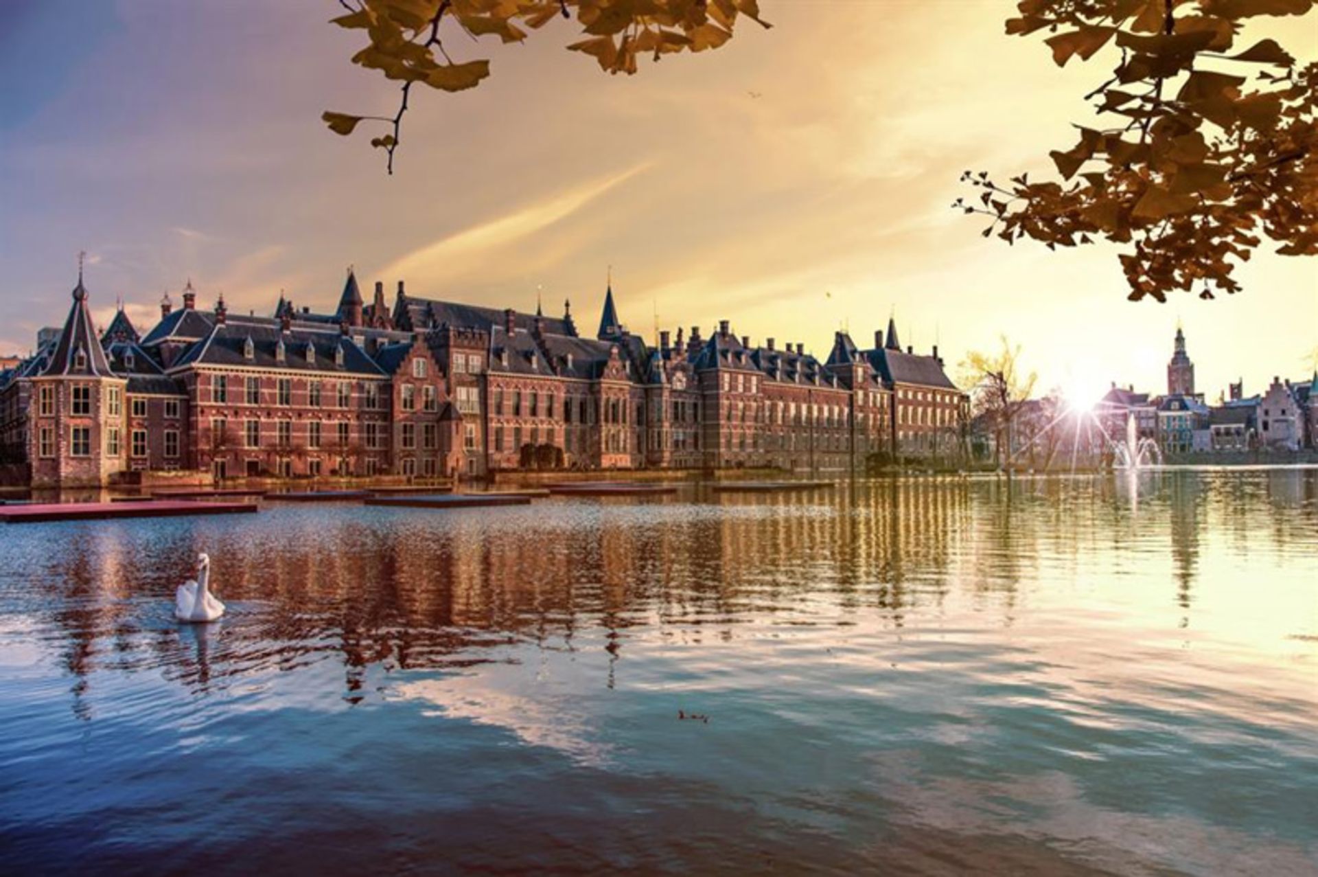 Bienenhof building in The Hague