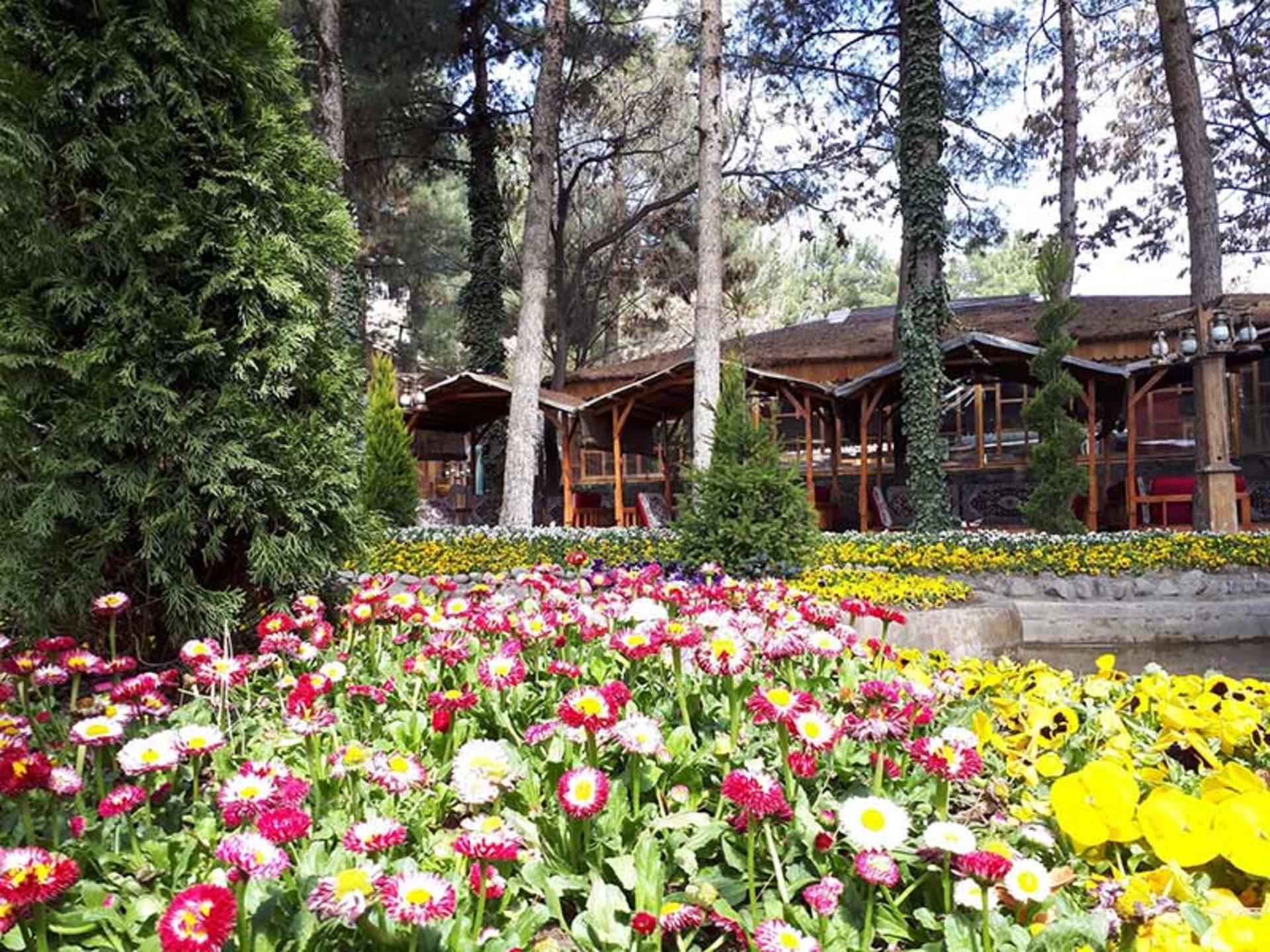 The flower garden in the garden of a restaura in Shandiz