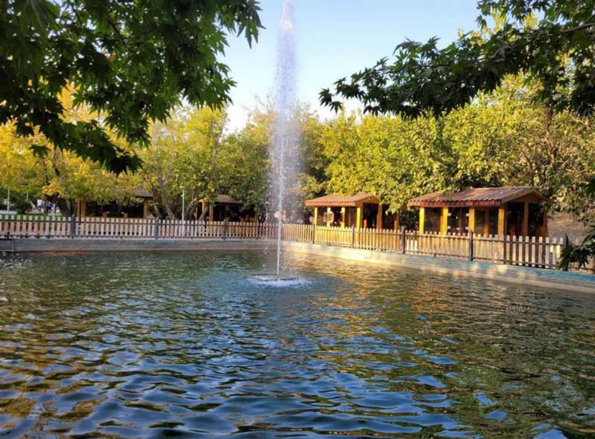 The artificial lake of Vakil Abad Forest Park, Mashhad