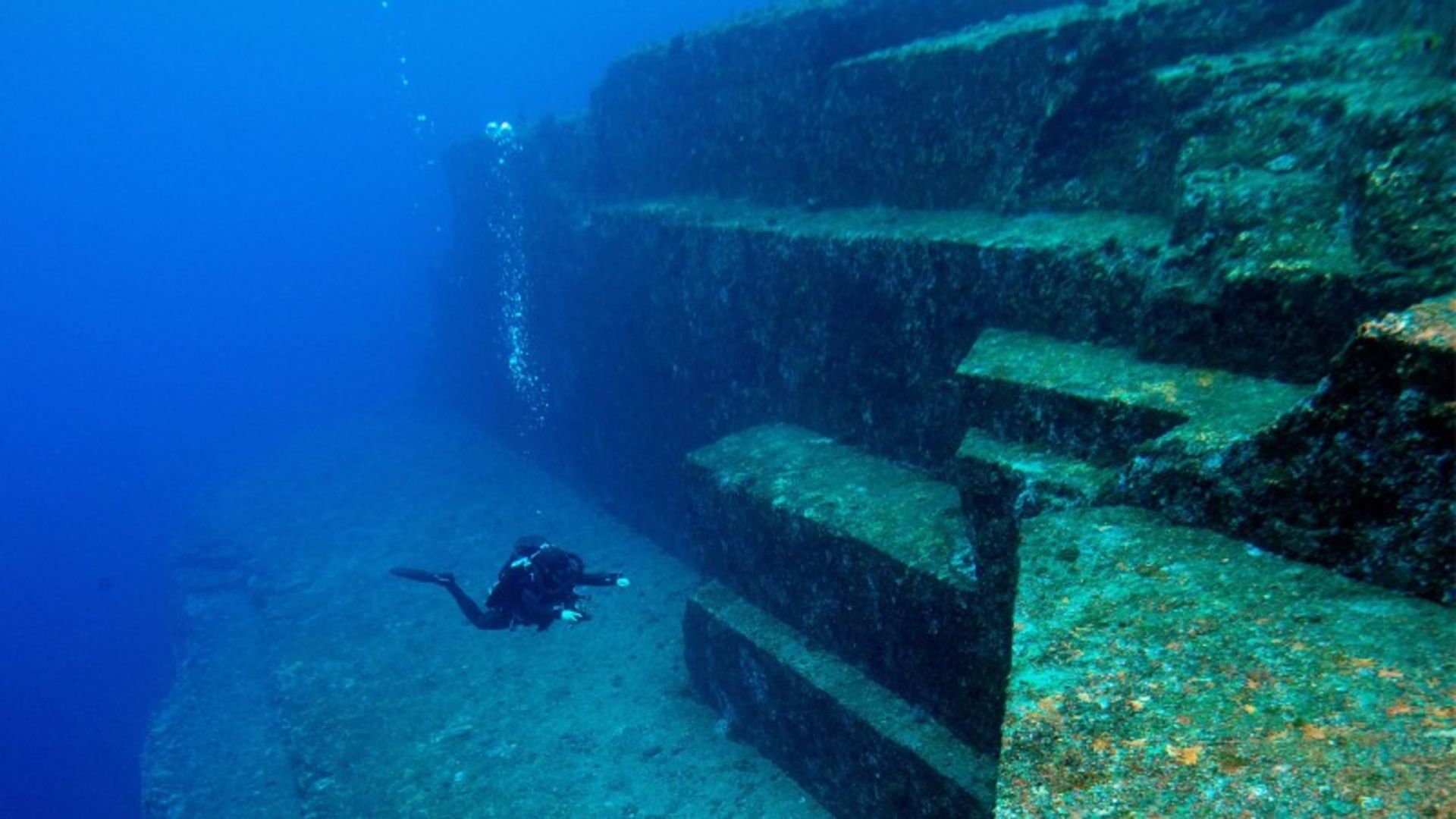Diving next to the Unagoni ancie monume of Japan