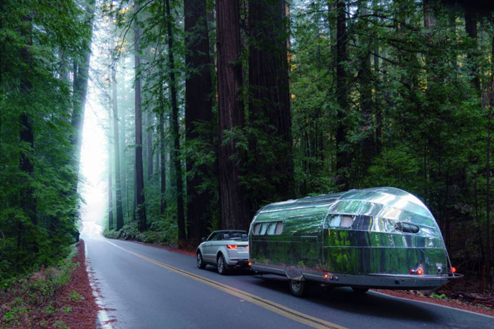Terra Firma luxury caravan on the forest road