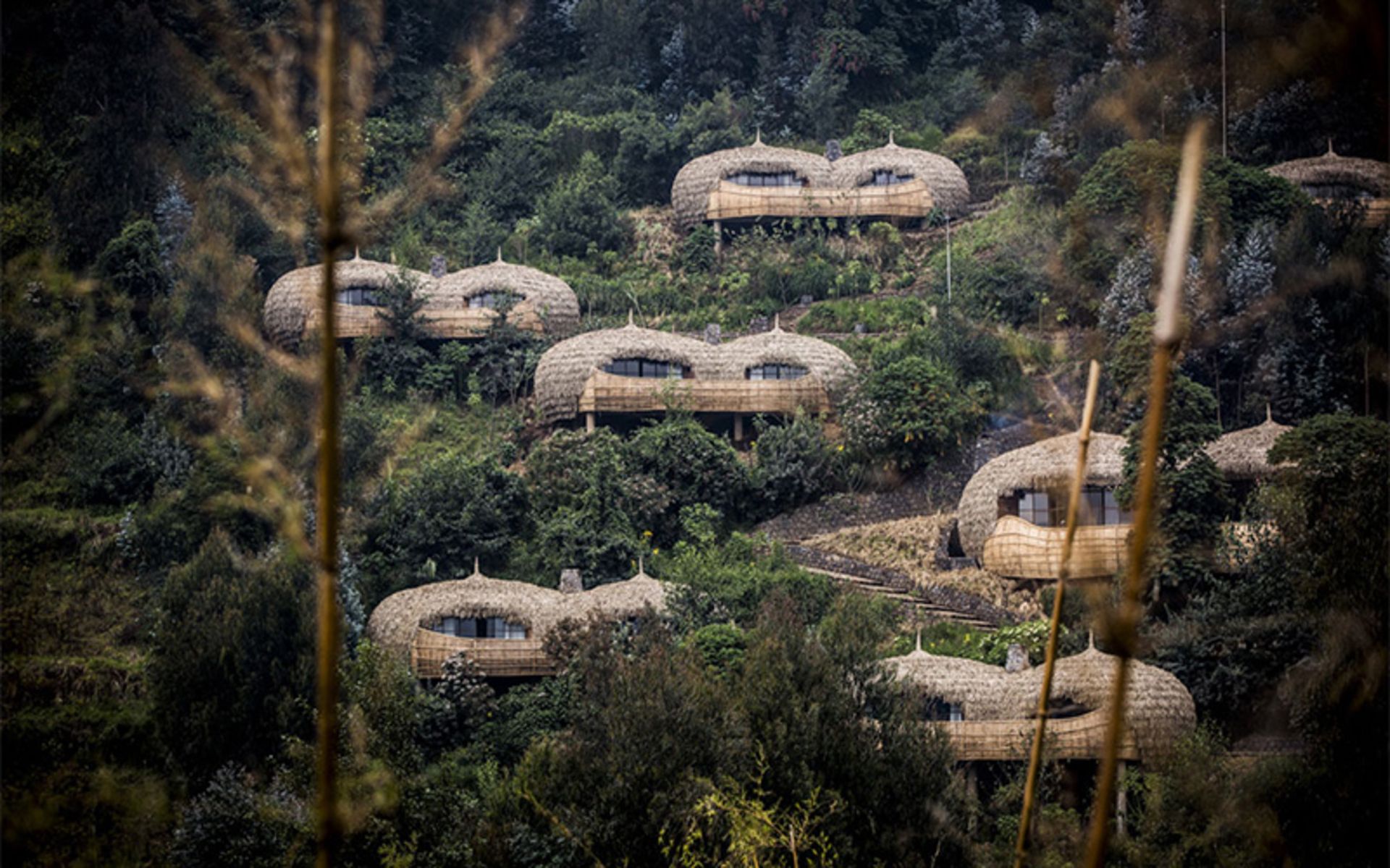 Bisate Lodge Rwanda hotel cottages