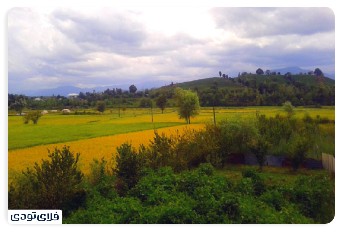 Kharfkal village
