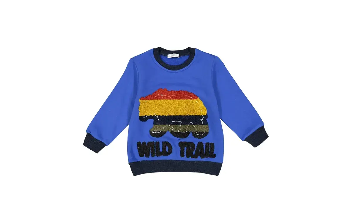 Fiorella blue model boy's sweatshirt