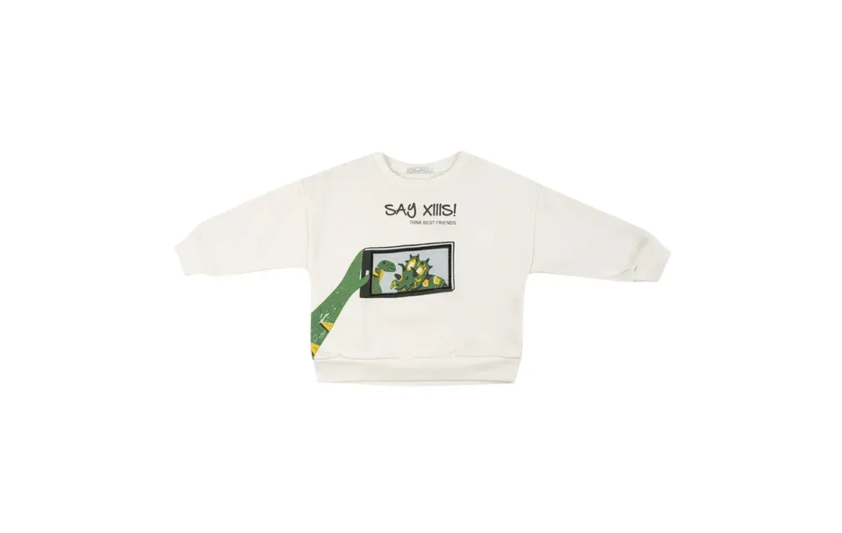 Fiorella dinosaur sweatshirt for boys