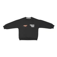 Fiorella boy's sweatshirt, Jurassic dinosaur model, code 45536