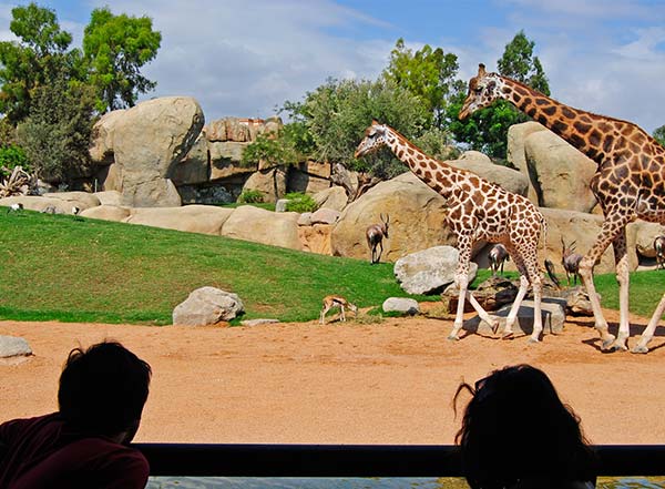 Biopark Zoo