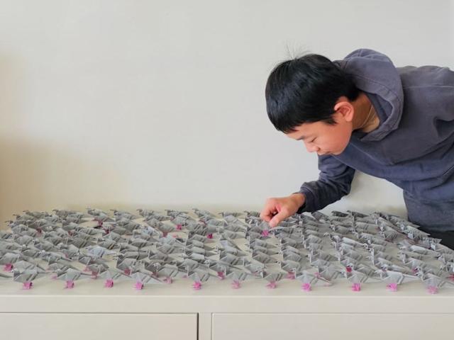 14-year-old wins $25,000 prize for discovering new origami pattern - Diginoy
