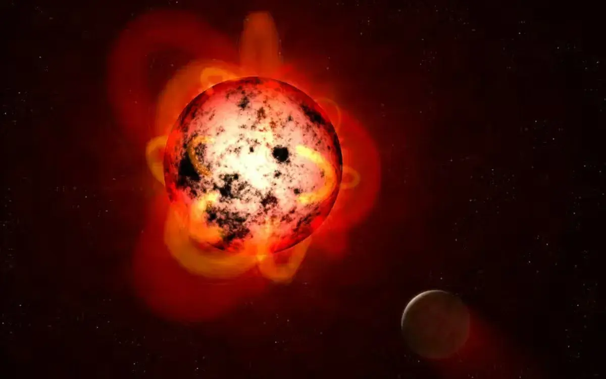 Red dwarf stars are the longest type of star. When star formation stops throughout the universe, eveually only red stars remain, which gradually fade away over trillions of years.