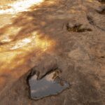 A 10-year-old girl accidentally stumbled upon 5 dinosaur footprints while walking on the beach - Diginoy