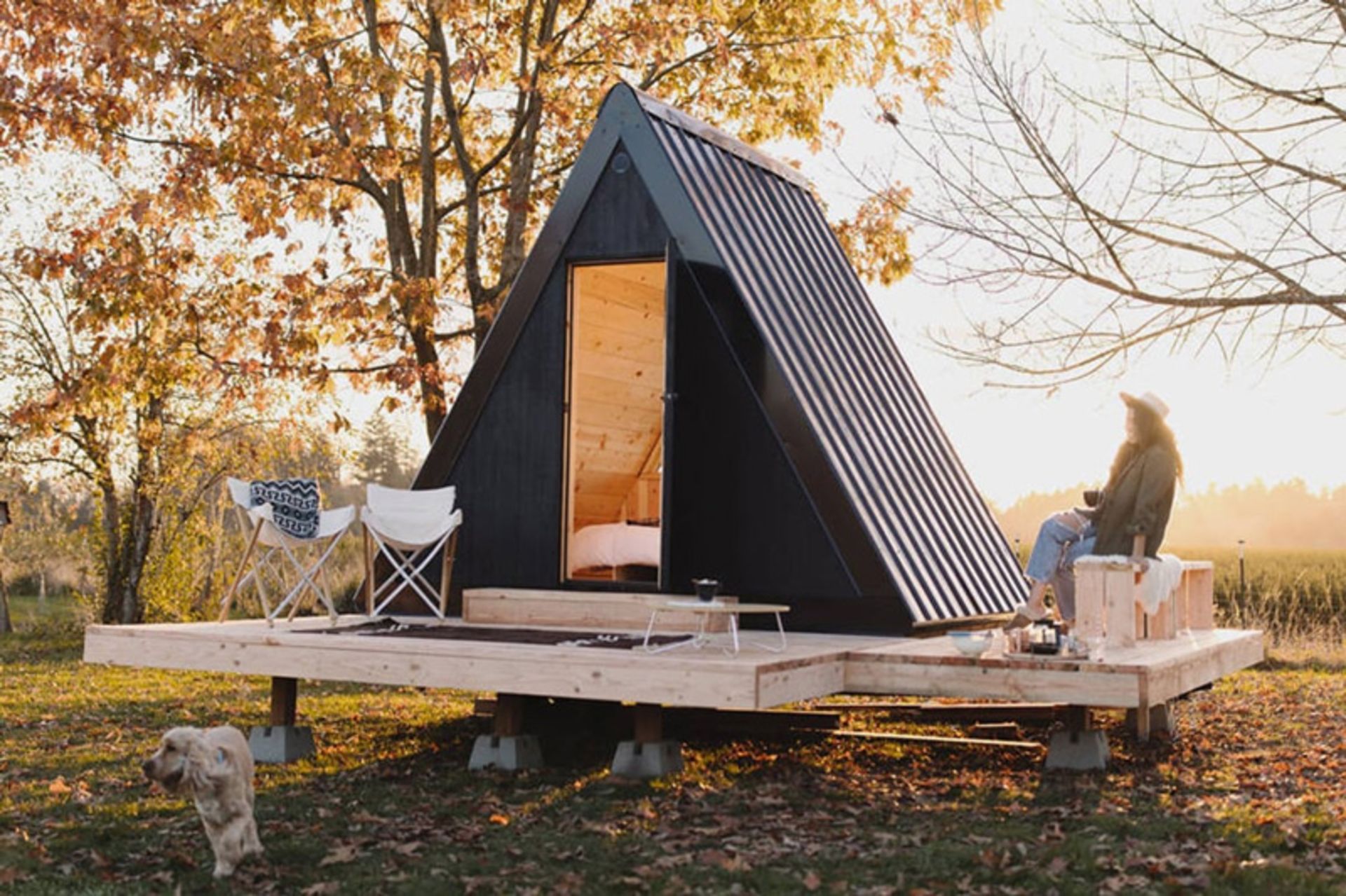 BV cottage in the autumn forest