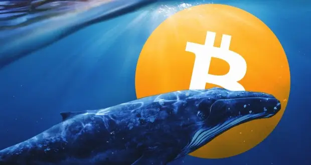 The sudden awakening of the satoshi era whale after 14 years