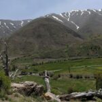 The green nature of Hoyer Damavand village