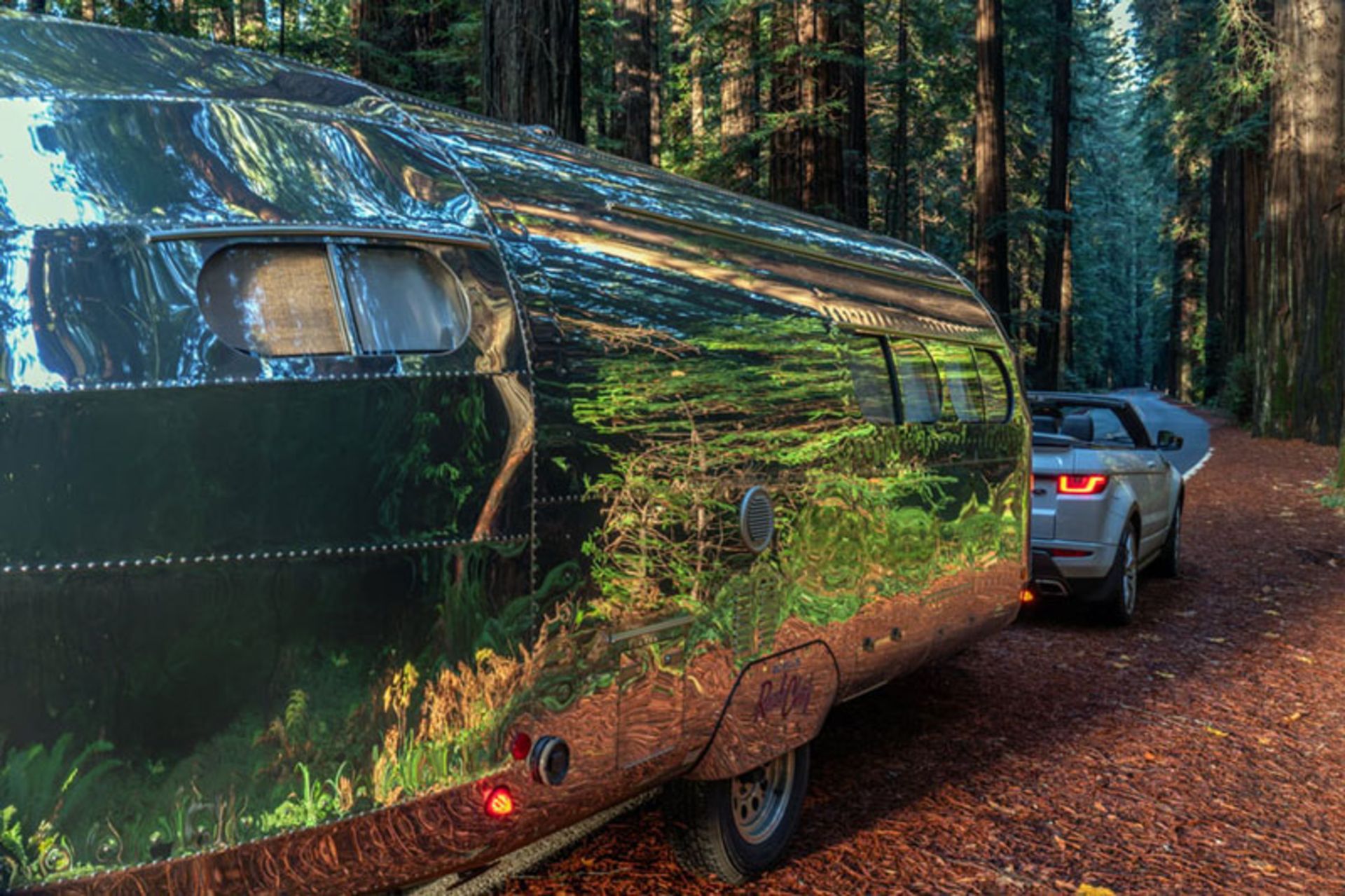 The view of Terra Firma luxury caravan in the forest