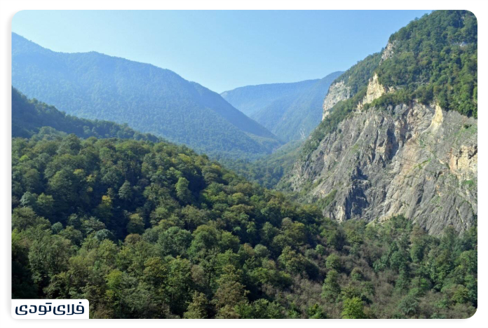 Where are the Hyrcanian forests?