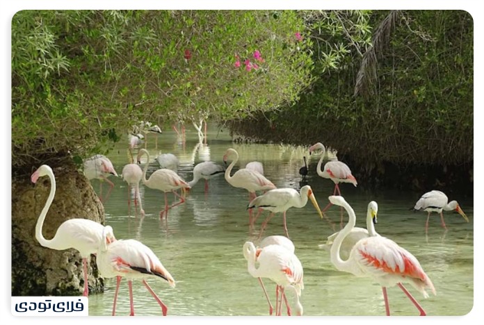 Sightseeing places in Kish in autumn