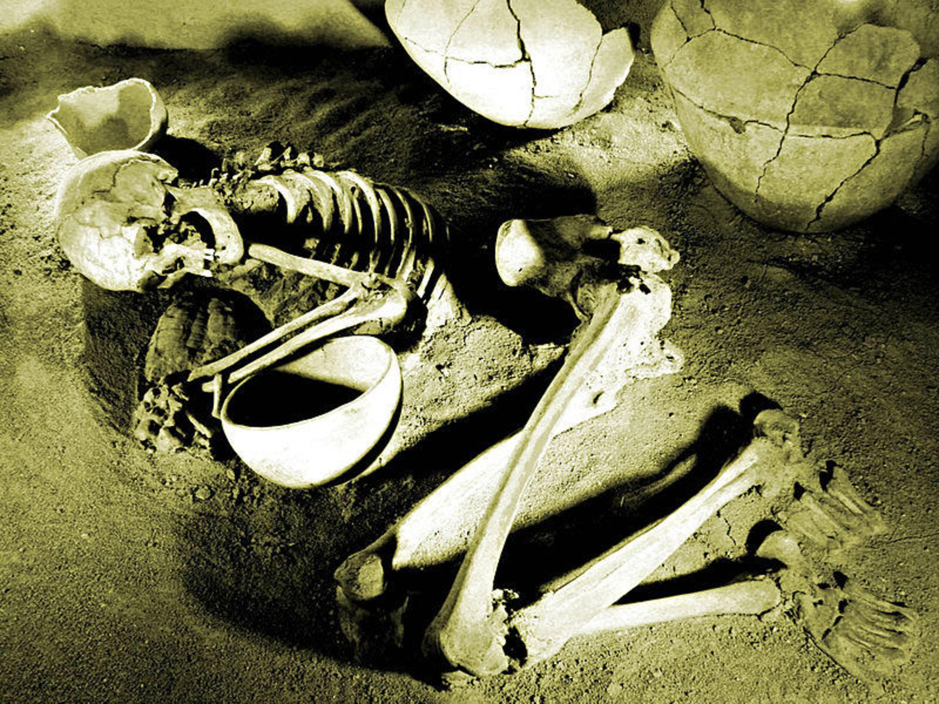 The skeleton of human ancestors in Hegmataneh Museum of Hamadan