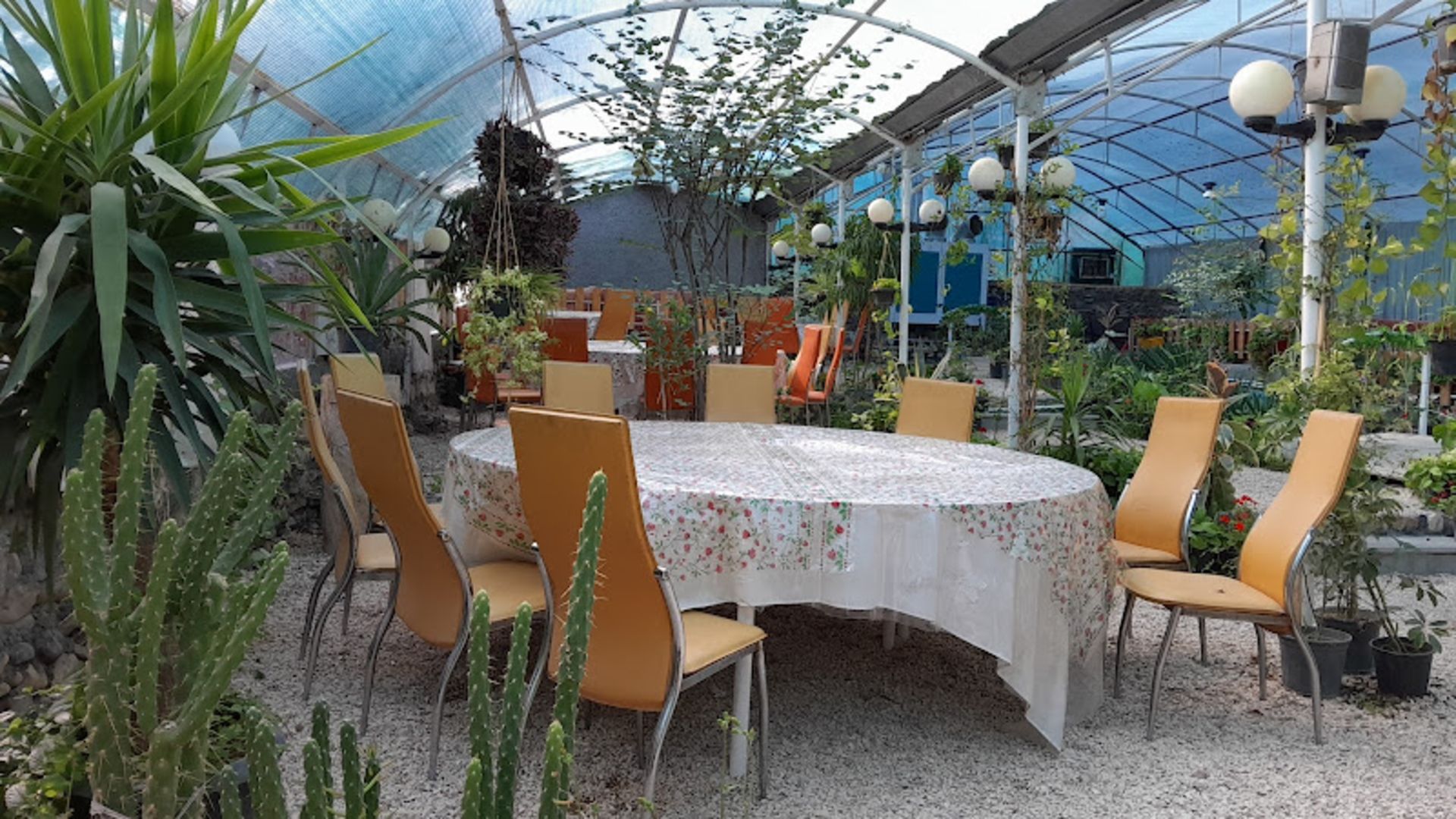 The green atmosphere of Shab Bo Shahroud restaura garden