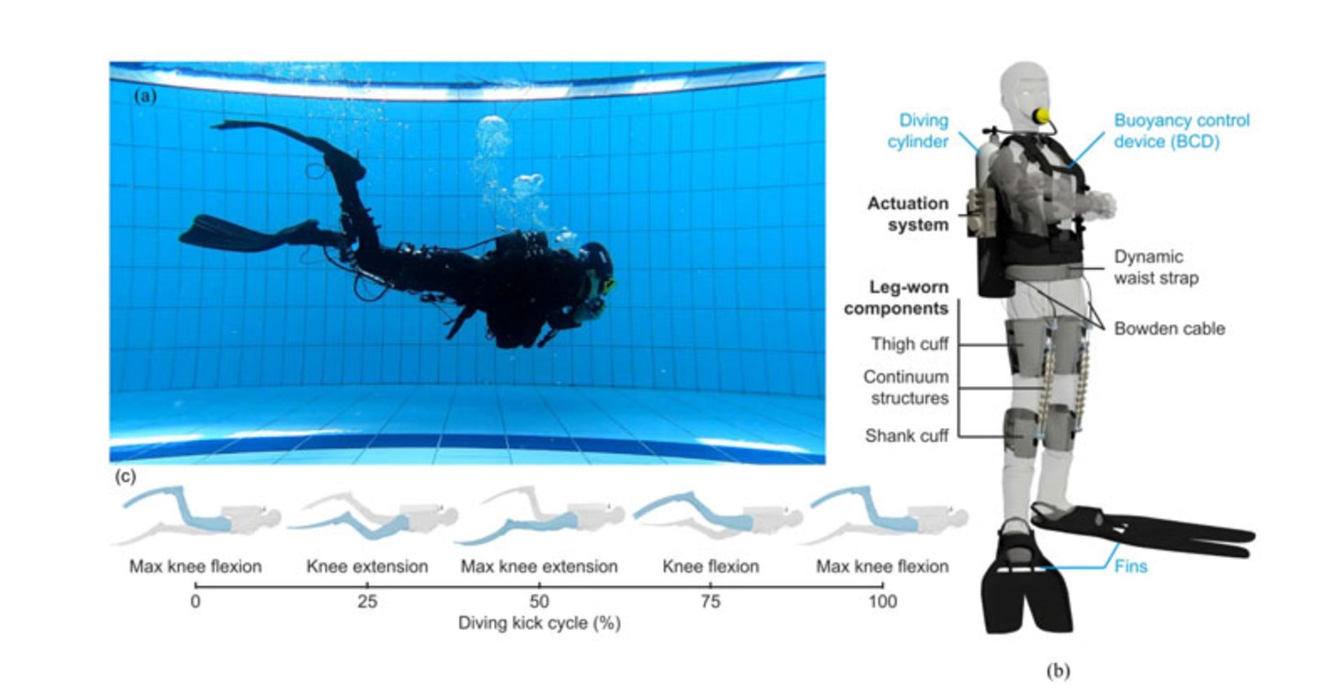 Diving with a smart exoskeleton in the pool