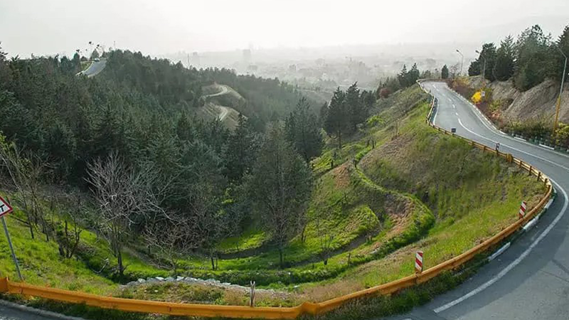 Louisan Forest Park 