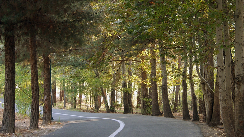 Chitgar forest park