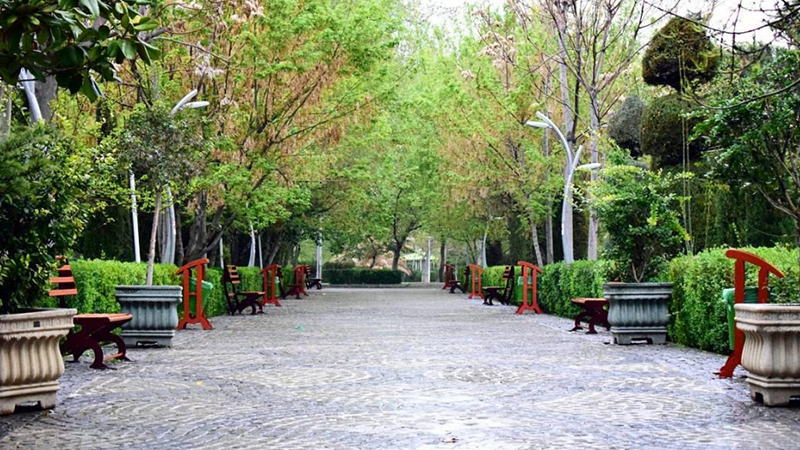 Tulip Park 