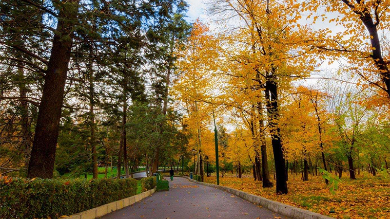 Mellat Park 