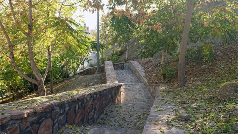 Bam Nilofar