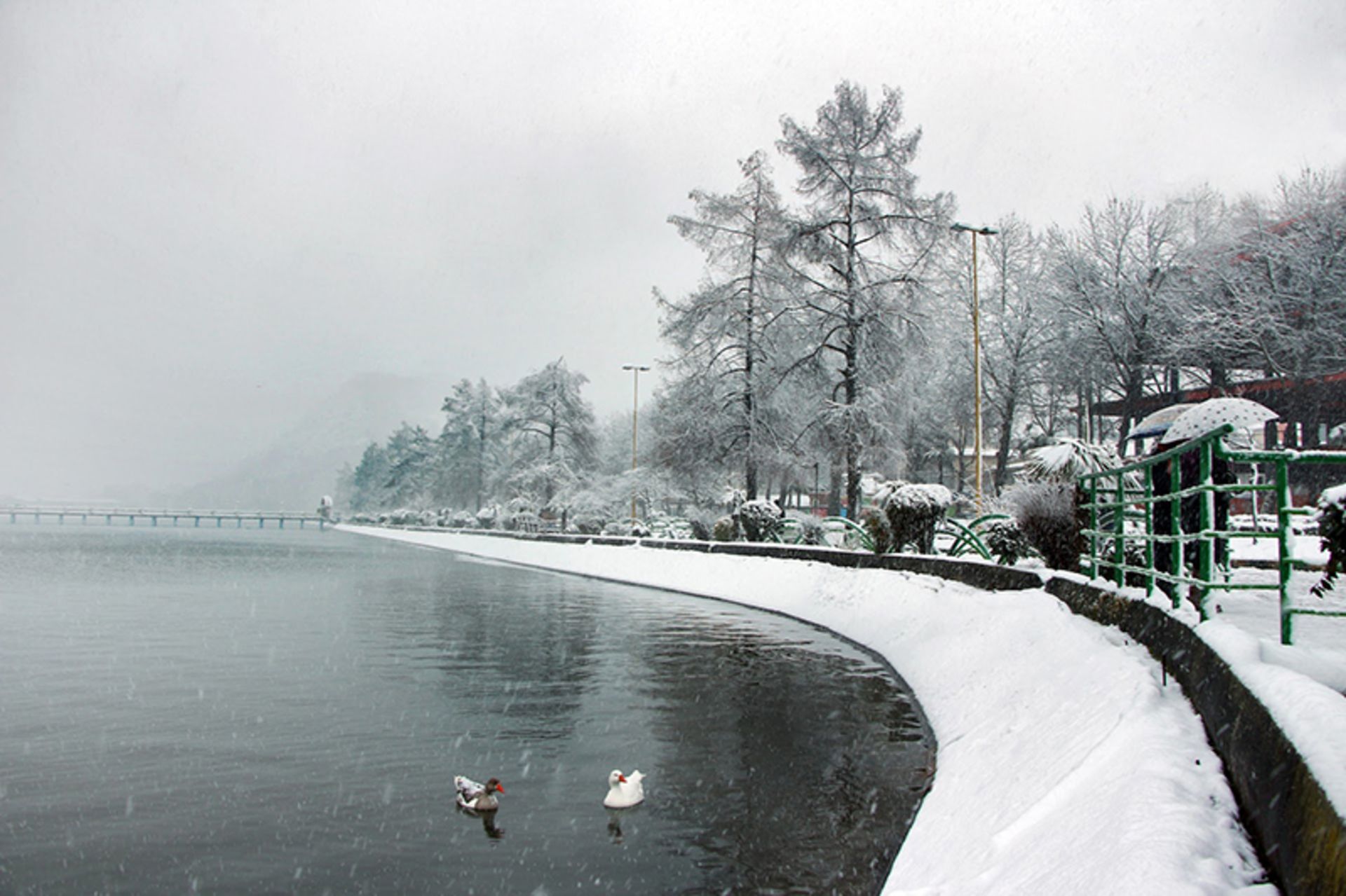 Snow landscape of Lahijan pool