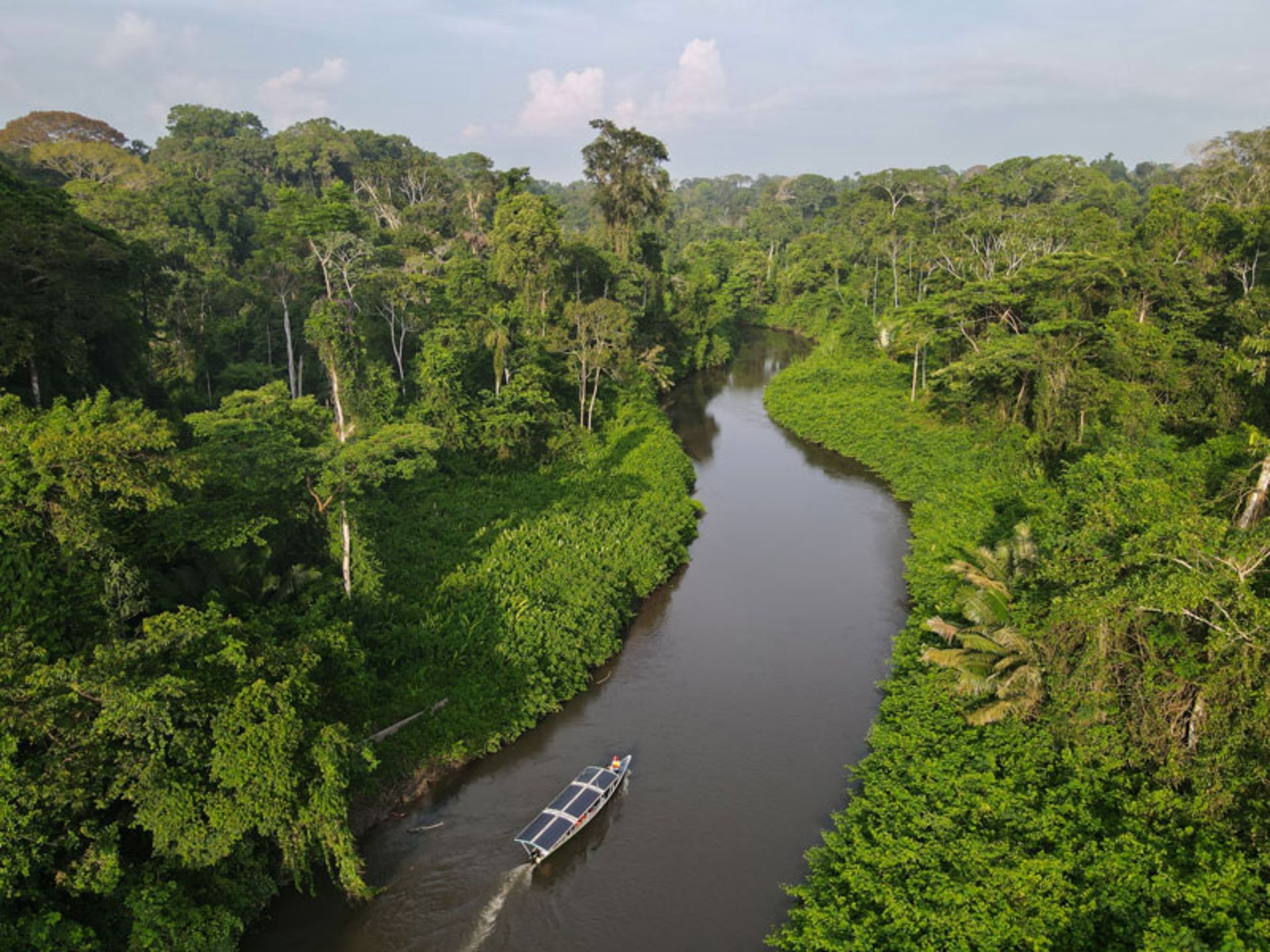 A view of the Saiago River in the Amazon jungle