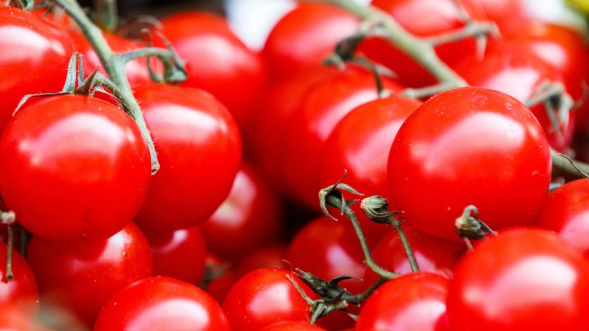 Raw tomatoes 