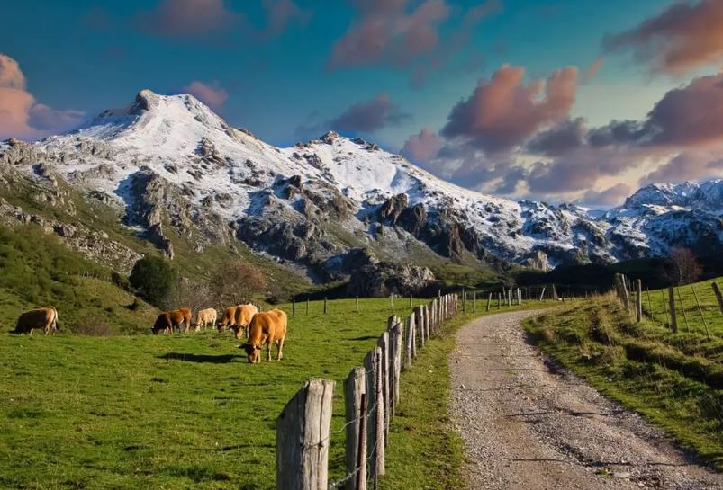 The nature of Spain