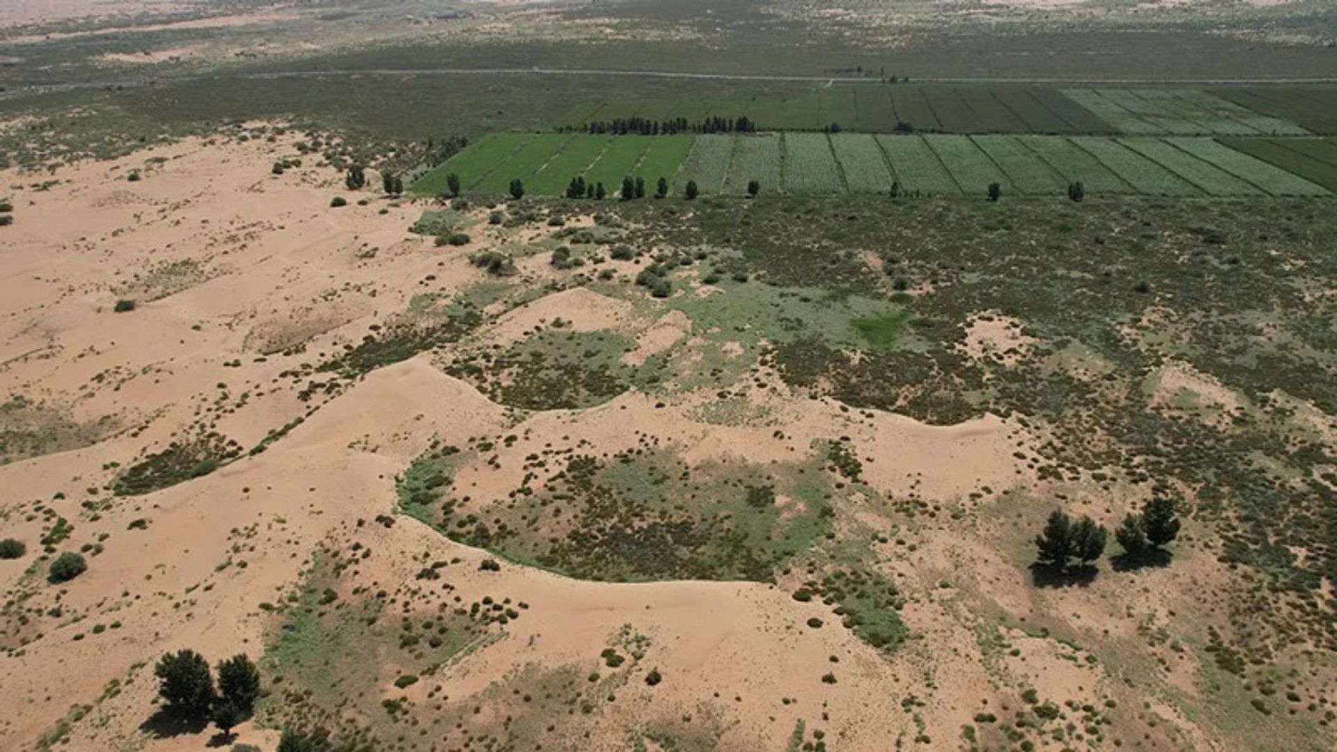 China's green wall to combat desertification