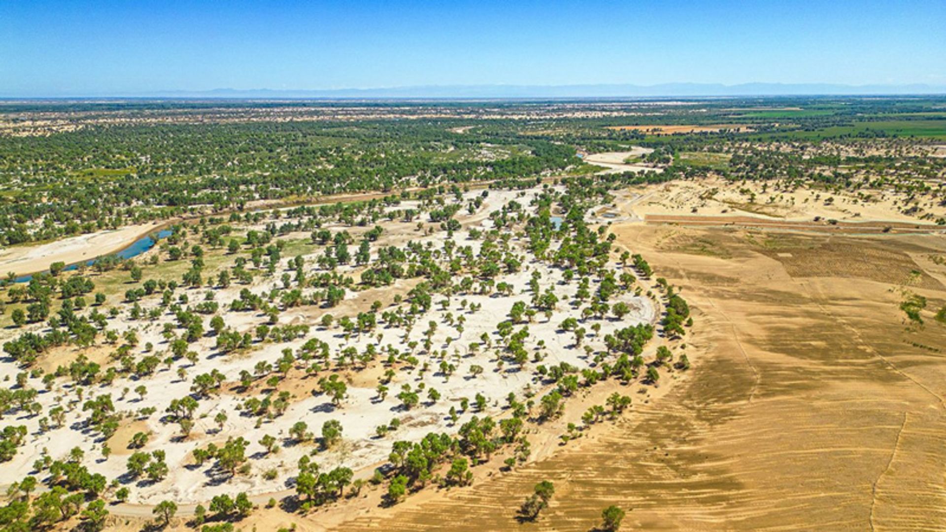 Construction of China's green wall on the way to Taklemekan desert
