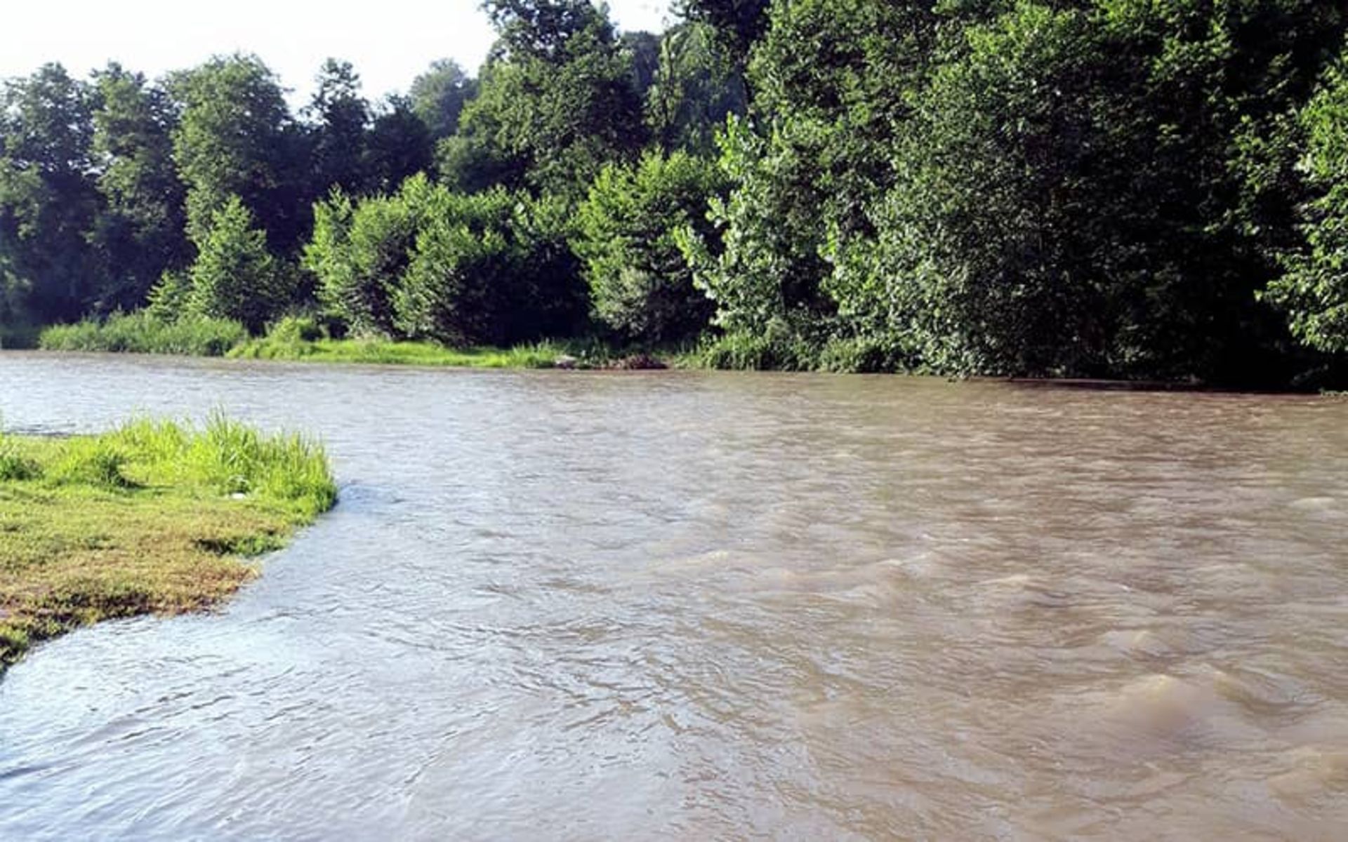 A river full of water in a forest area