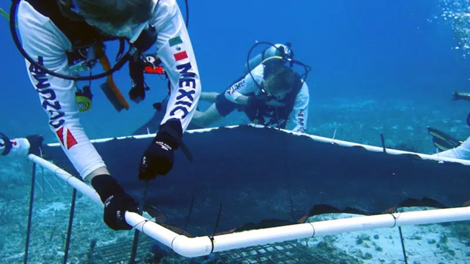 Installing a 3D priing platform for coral cultivation