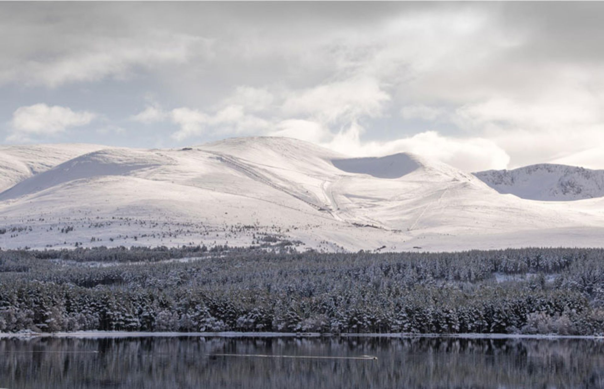 Wier landscape of snowy mouains and pine forest