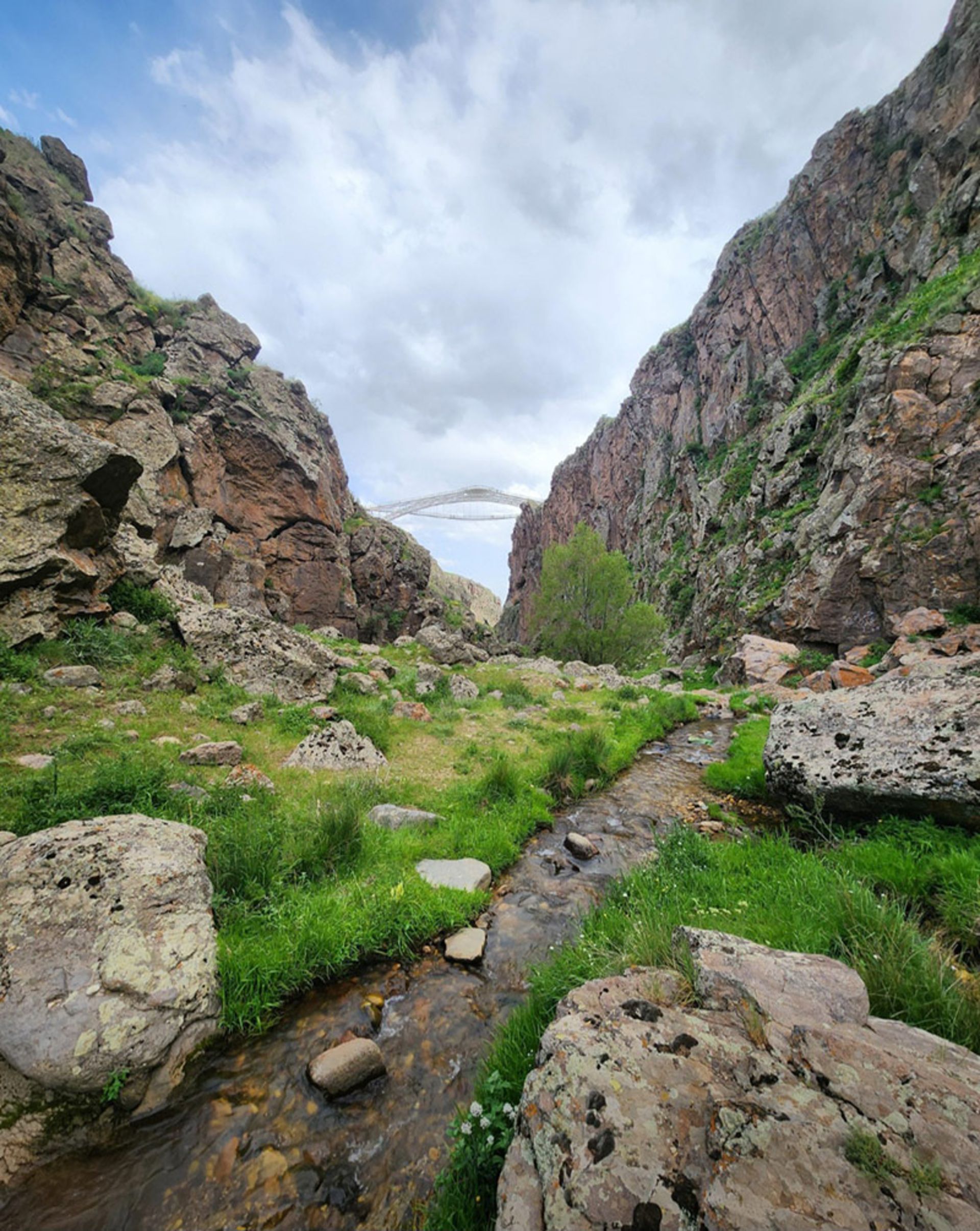 Sareen suspension bridge in the heights of the lush valley