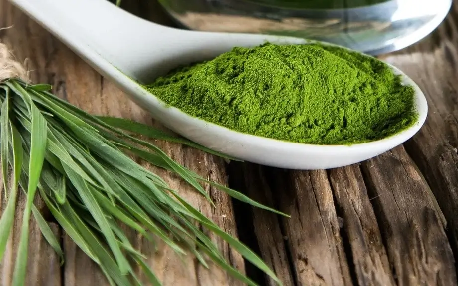 What is spirulina and what is it good for? + Properties of spirulina for skin and smoothness + how to use